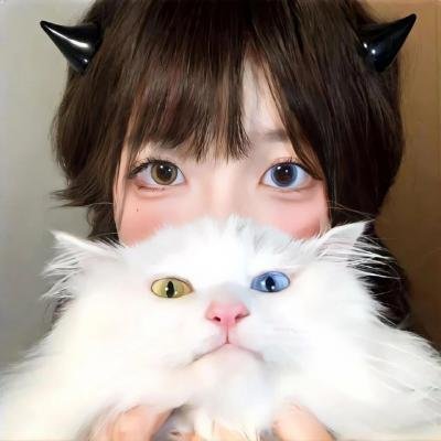 数码特工