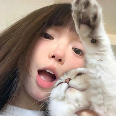 猫眼