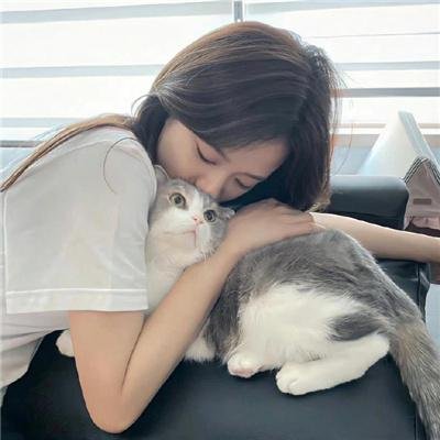 金阁山传奇